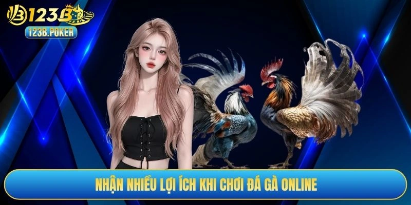 Nhận nhiều lợi ích khi chơi đá gà online